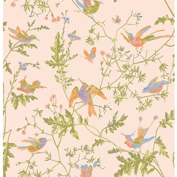 Hummingbirds 124/1002 - Tangerine &amp; Olive