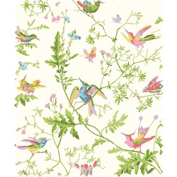 Cole_SonSelectionofHummingbirdsSilkF125-1003_flat