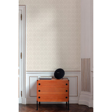 a65402 classic medallion_room