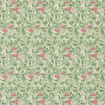 Arbutus Olive/Pink 214720