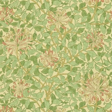 Honeysuckle Green/Beige/Pink WM7611/5